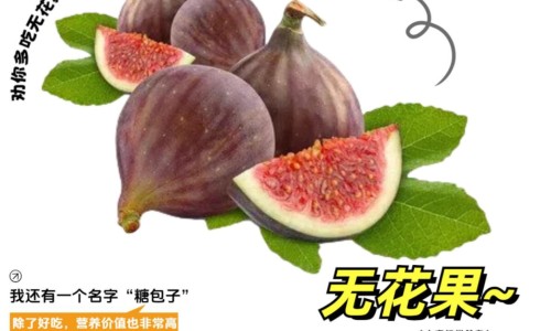 蝉蜕的功效与作用及禁忌、副作用-蝉蜕的功效与作用点-蝉蜕的功效与作用及禁忌症,中国蝉蜕的功效与作用及禁忌网站